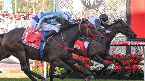 Cox Plate 2024 Tips & Prediction .